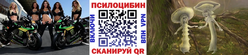 купить закладку  Дегтярск  Псилоцибиновые грибы Psilocybine cubensis 